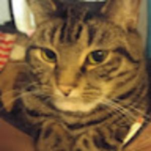 Meet your Posher, Kat